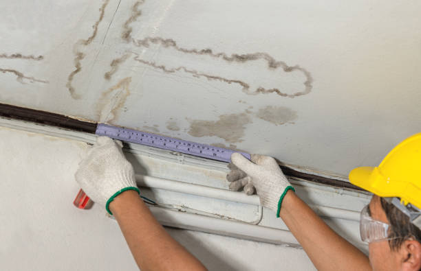 Affordable Water Damage Repair solutions in Libertyville, IL